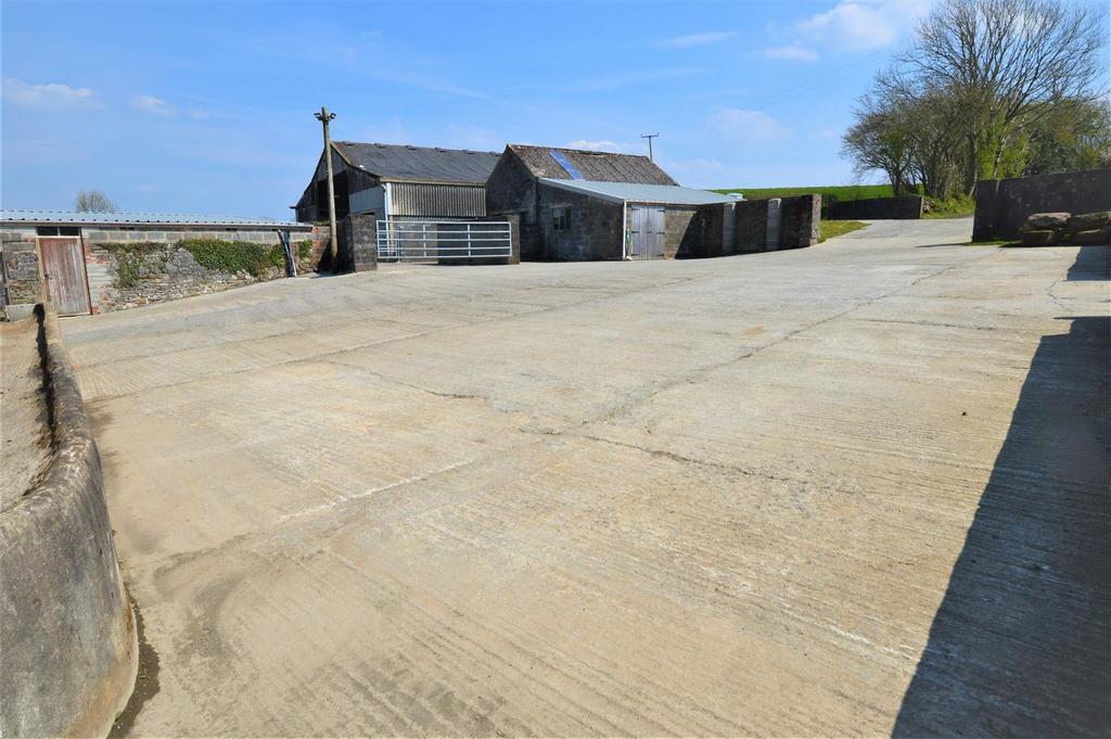 Feeding Yard1.JPG
