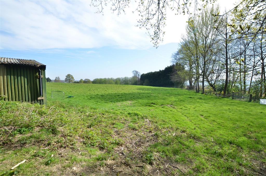 Pasture