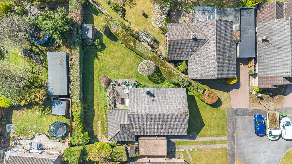 Bird's-Eye View
