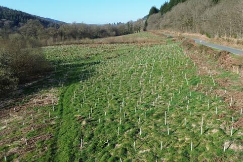 Farm land for sale, Abergorlech, SA32