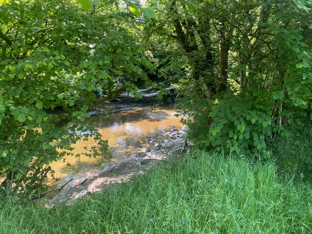 Riverside Setting