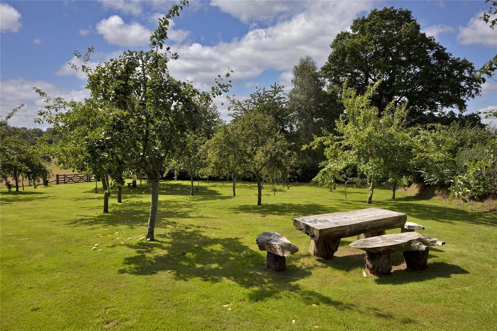 Orchard