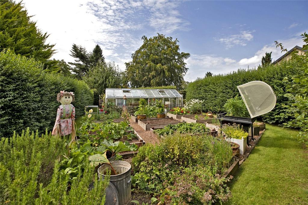 Kitchen Garden