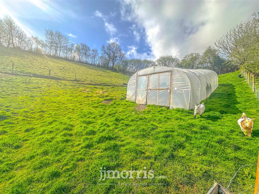 Polytunnel