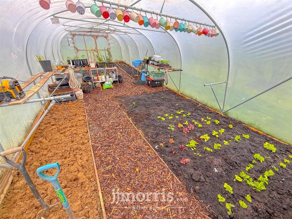 Polytunnel