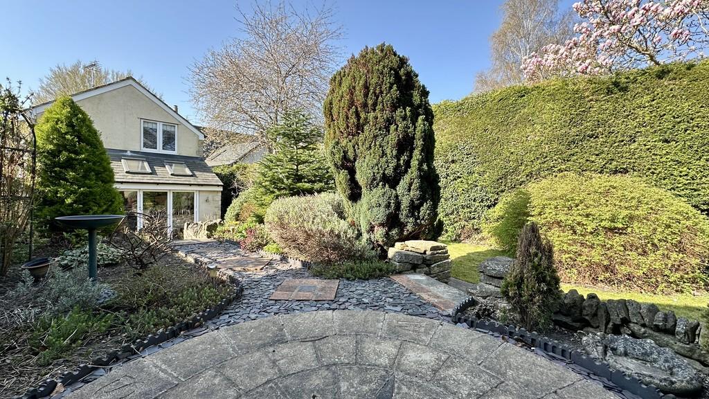 Img 2455