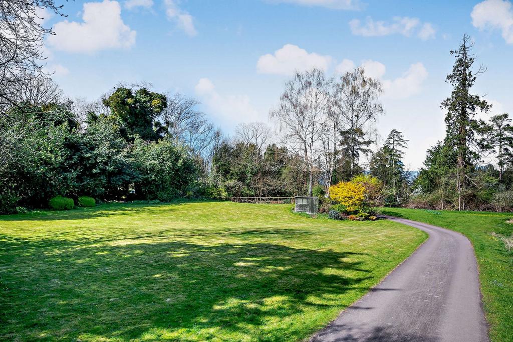 Expansive lawn