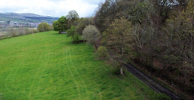 Views of Field from
