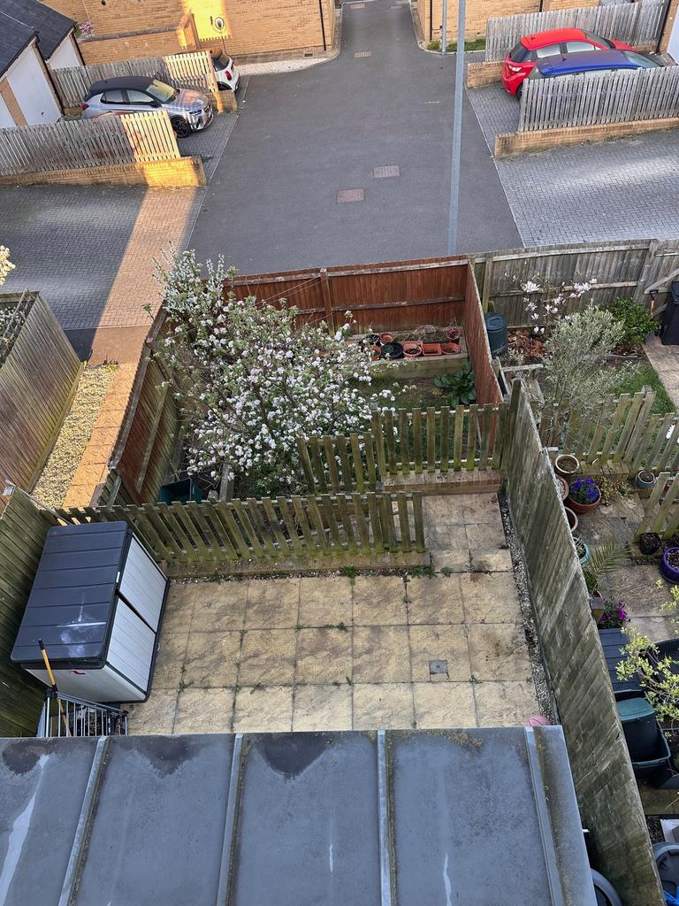 Image1[18].jpeg