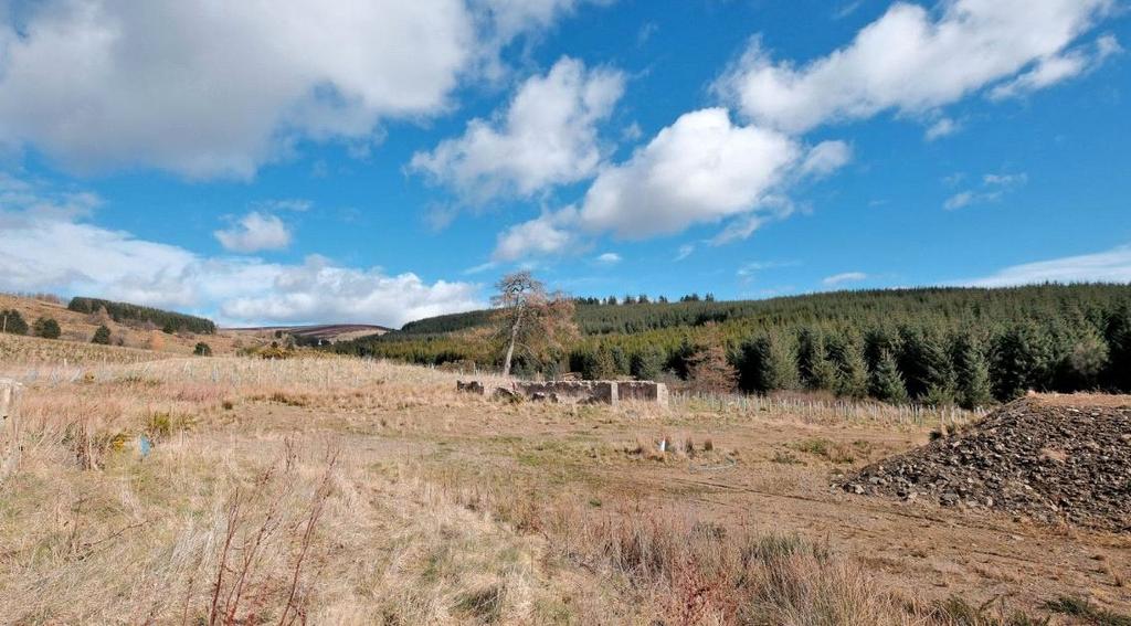 Site Image