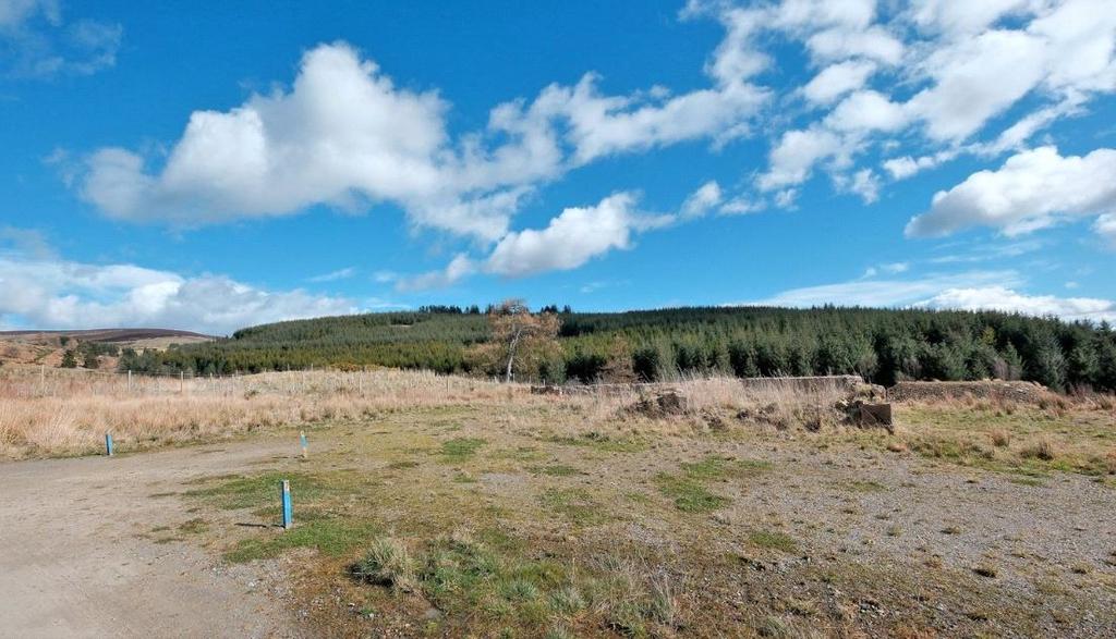 Site Image