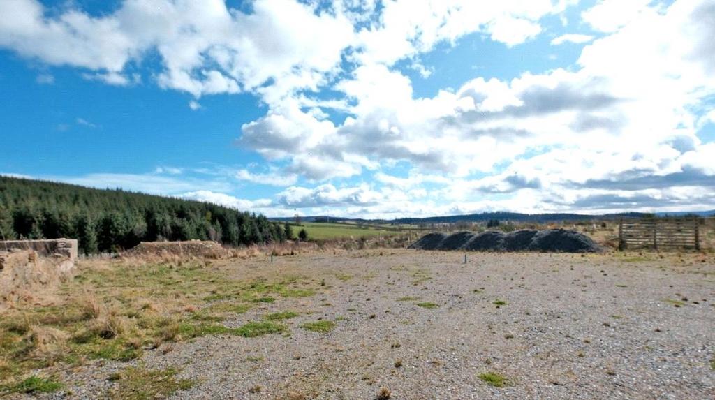 Site Image