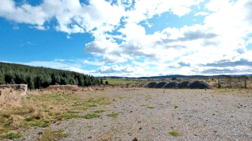 Site Image
