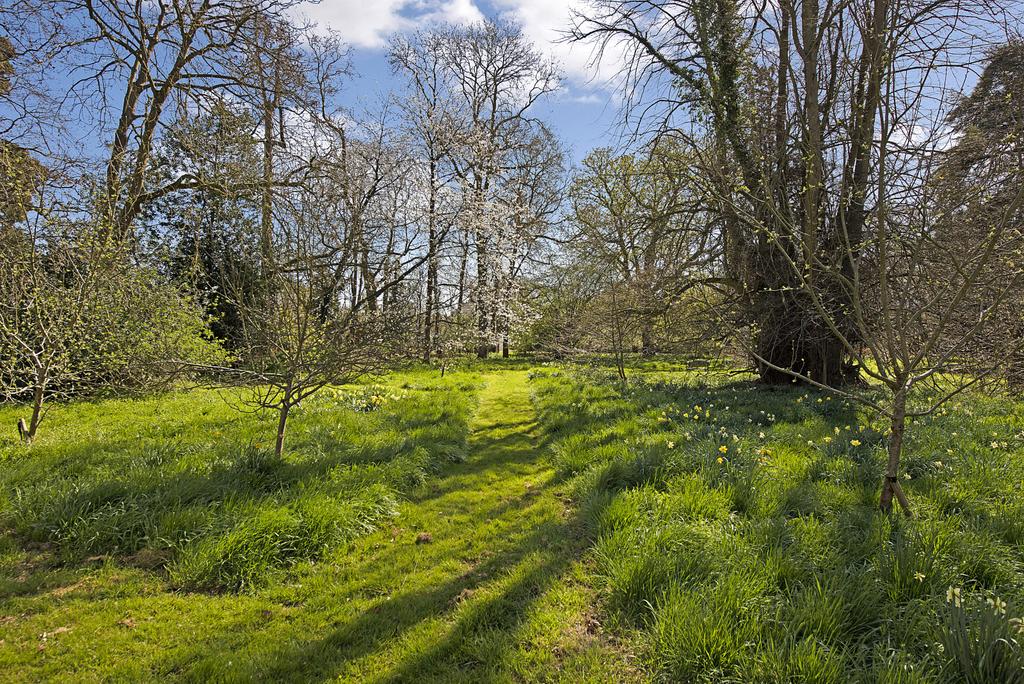 Grounds