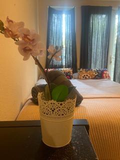 Studio to rent, 20 Ash Grove