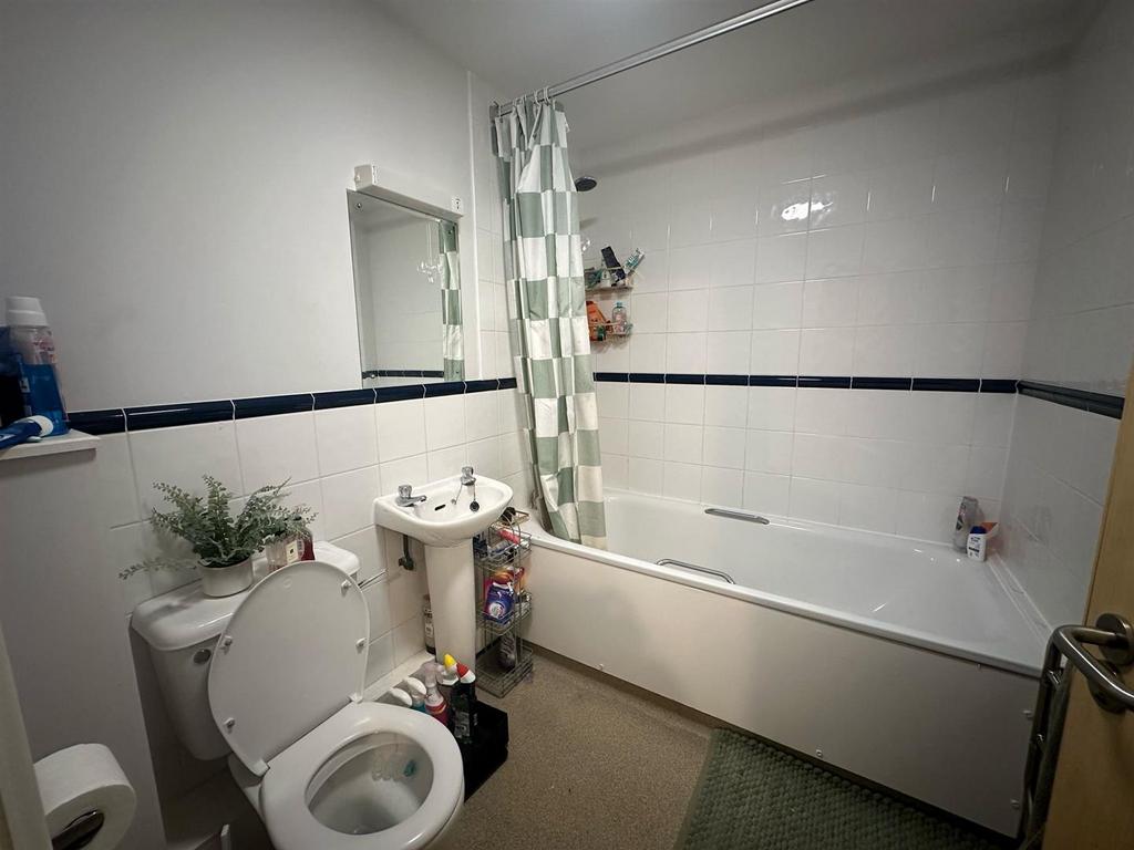 PHOTO-2025-04-03-16-31-47 2.jpg