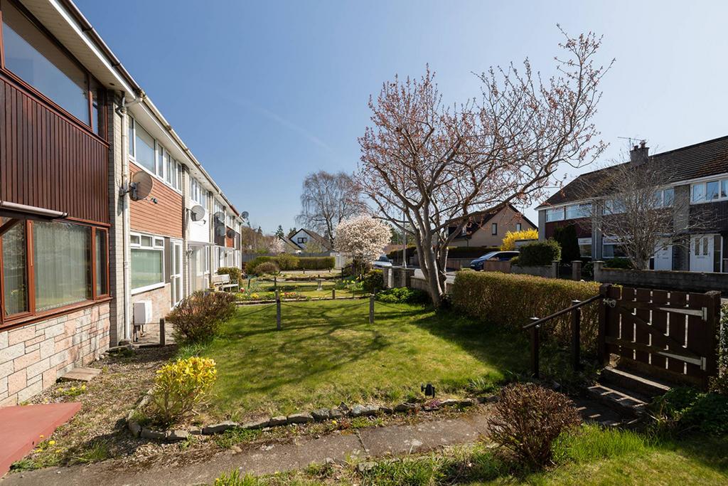 MFL3245311 073.jpg