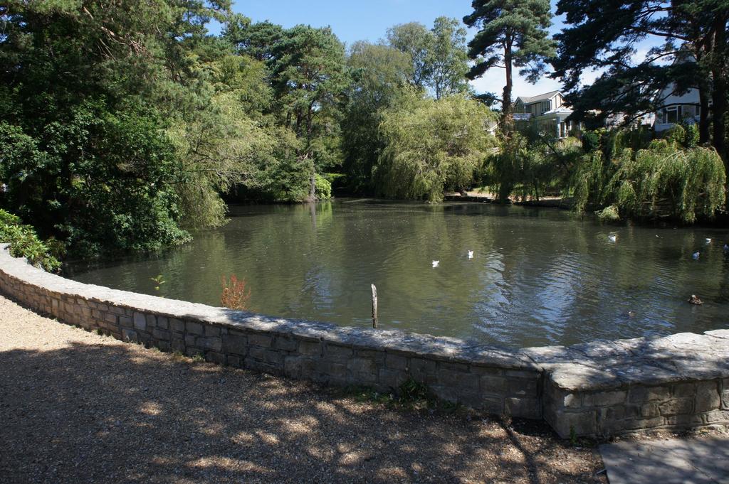 Coy Pond