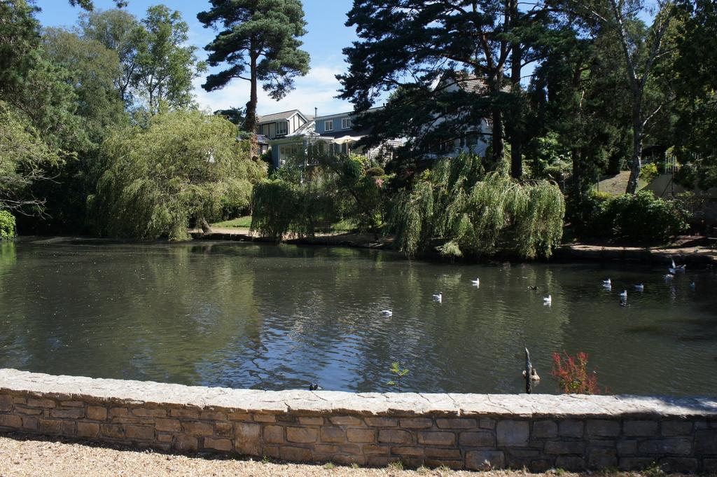 Coy Pond