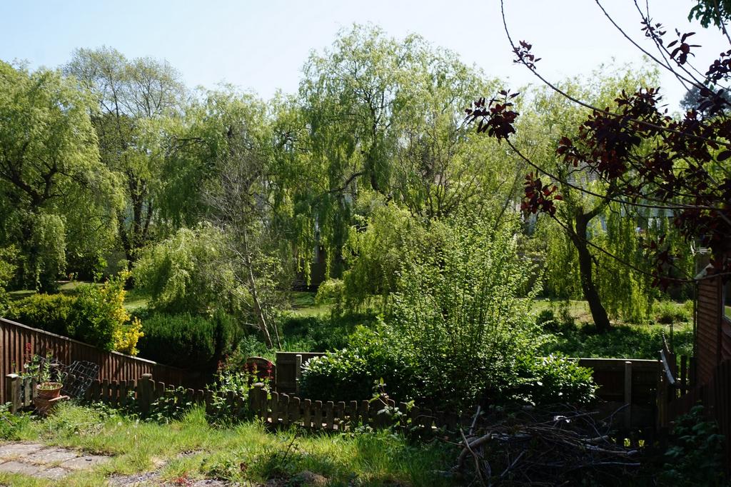Garden and View
