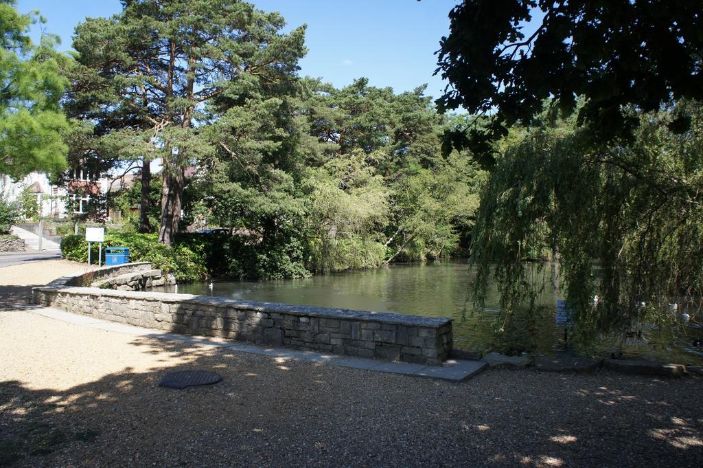 Coy Pond