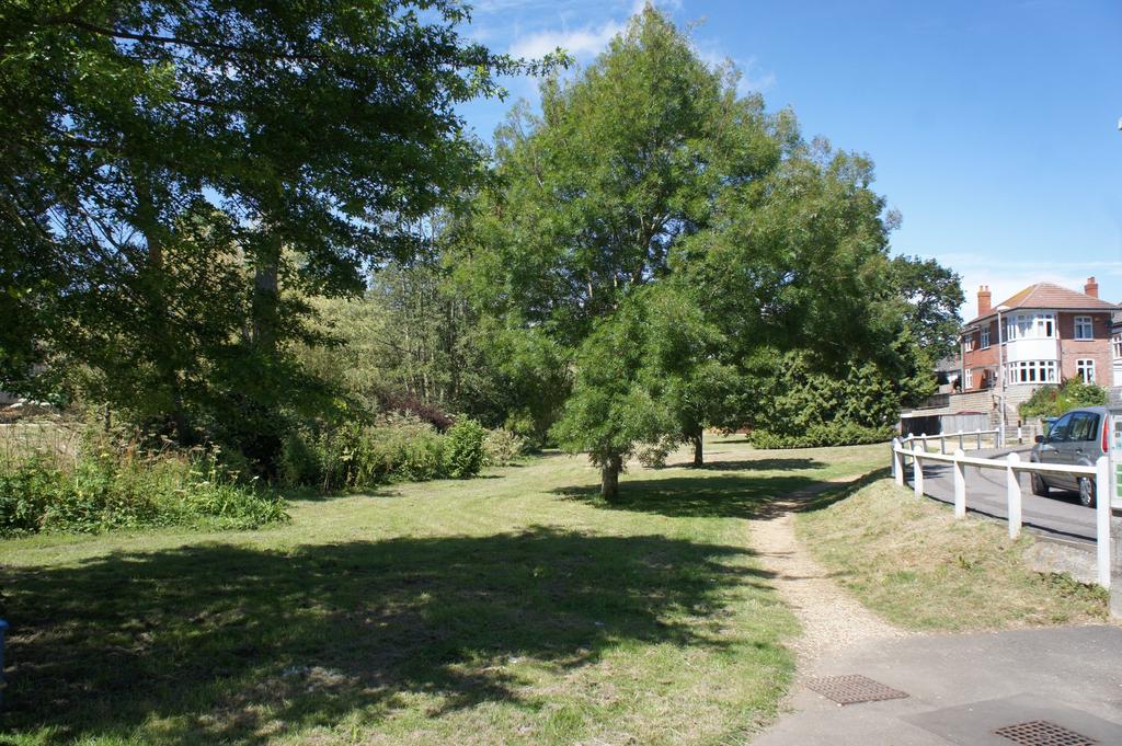 Coy Pond