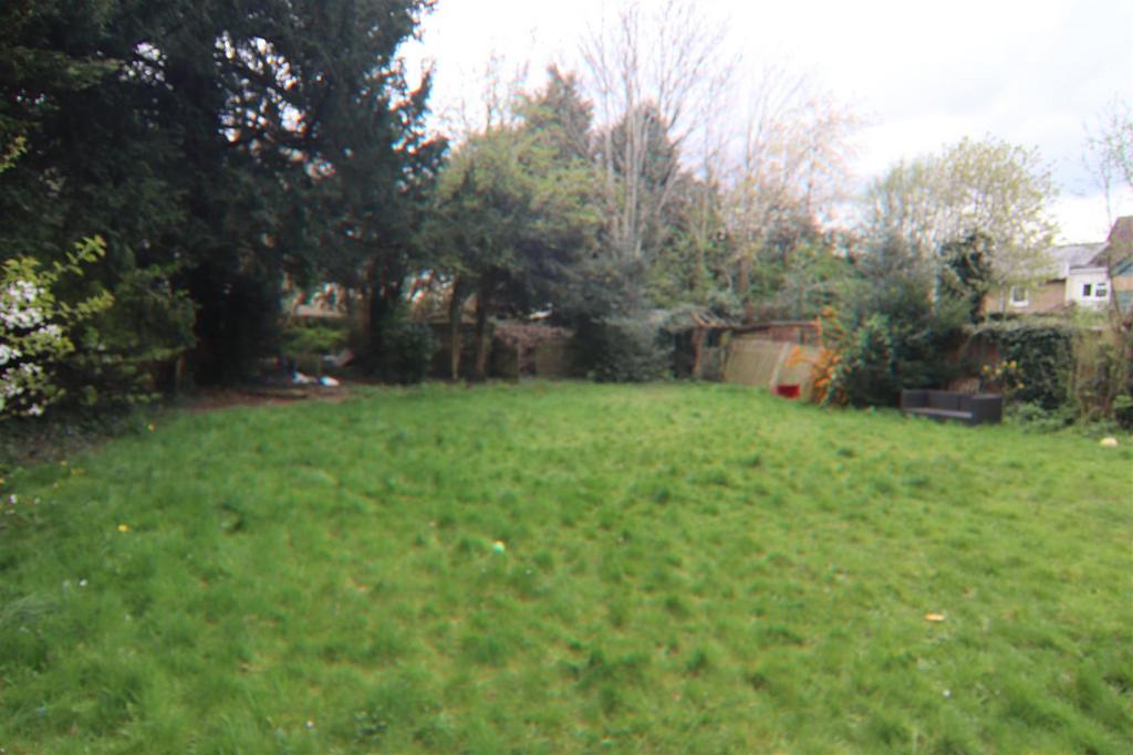 Img 6032.jpg