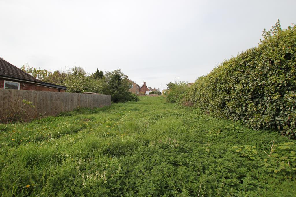 Img 3371.jpg