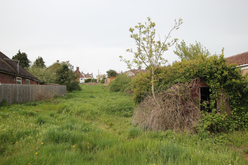 Img 3366.jpg