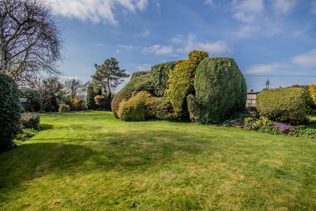 Garden 1