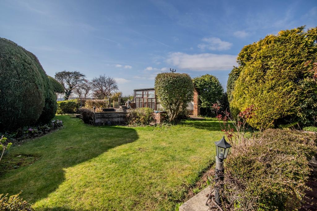Garden 6