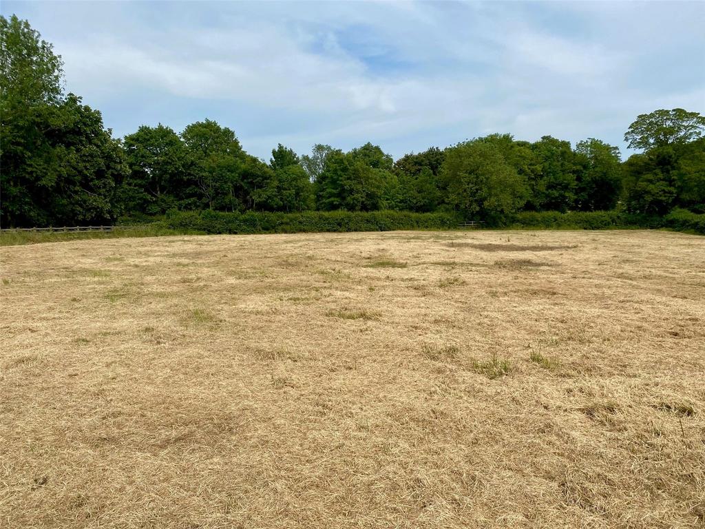 Hay Cut Field