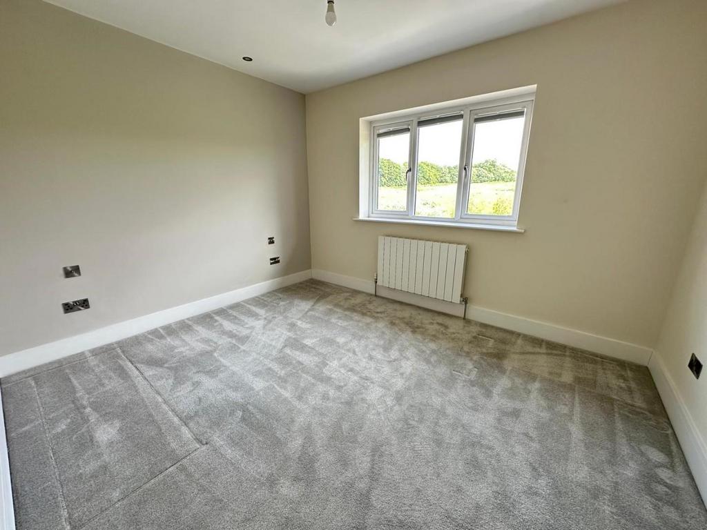 Room5.jpg