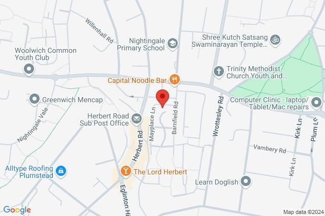 Google Maps Image