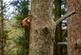 Mirk Pot Woodlands, Snaizeholme, Near Hawes, North Yorkshire