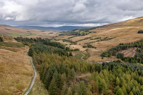 undefined, Mirk Pot Woodlands, Snaizeholme, Near Hawes, North Yorkshire