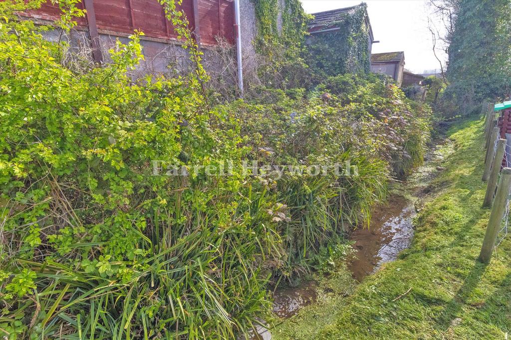 Stream In Garden