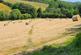Gorran, South Cornwall photo 4