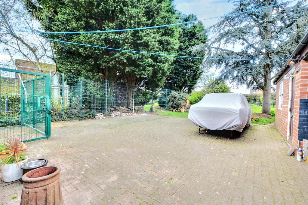 Garden 1.jpeg