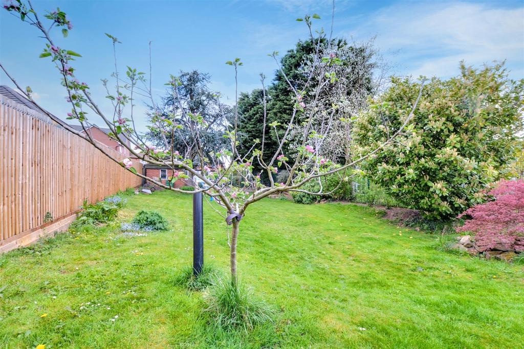 Garden 7.jpeg