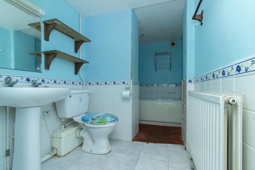 Picture 8