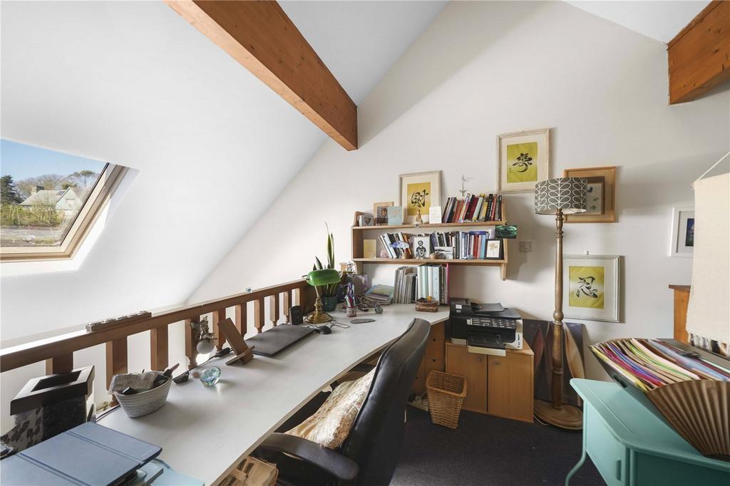 Study Area