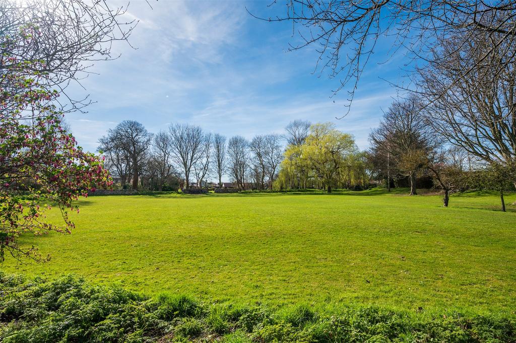 Local Park