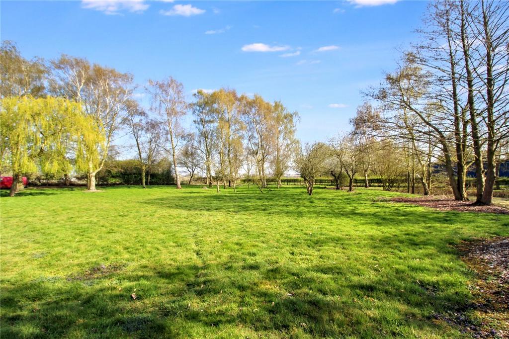 Grounds