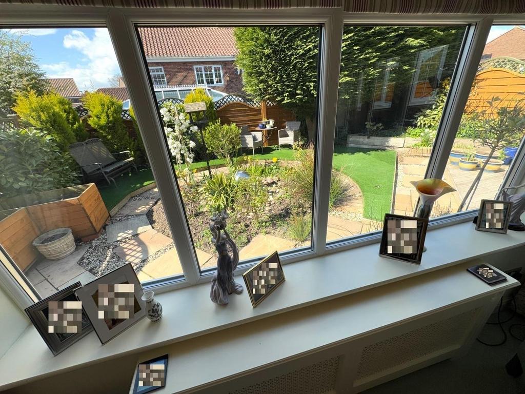 View of garden