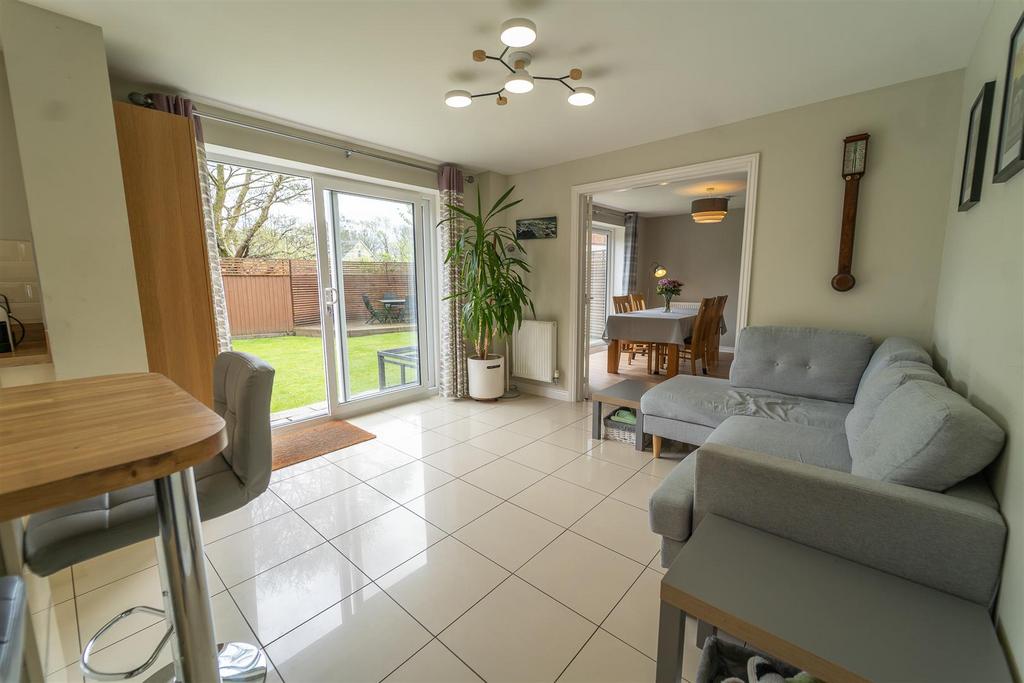 Nick 2-785.jpg