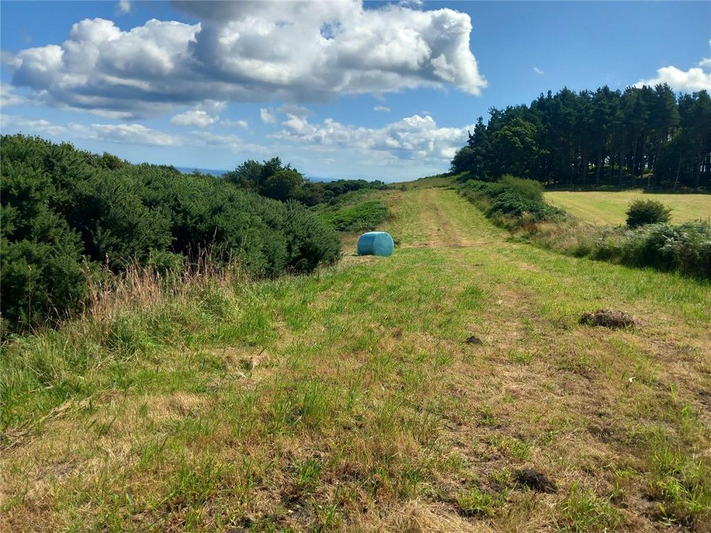 Picture No. 44