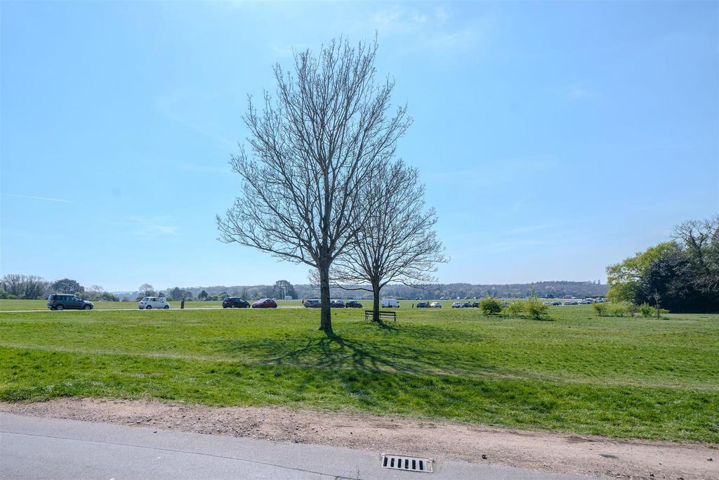Nest-268.jpg
