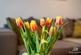 DSC03931-HDR.jpg