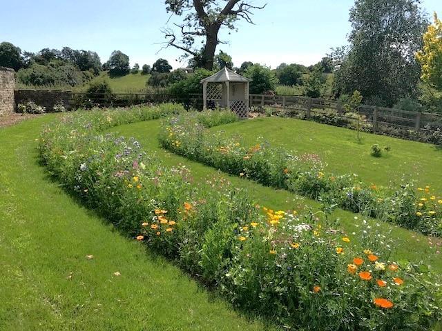 Garden 1.jpg